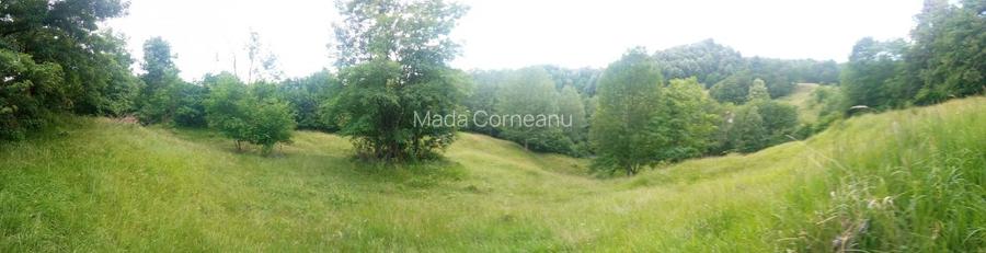 Vând teren Nistoresti Breaza Prahova - 4