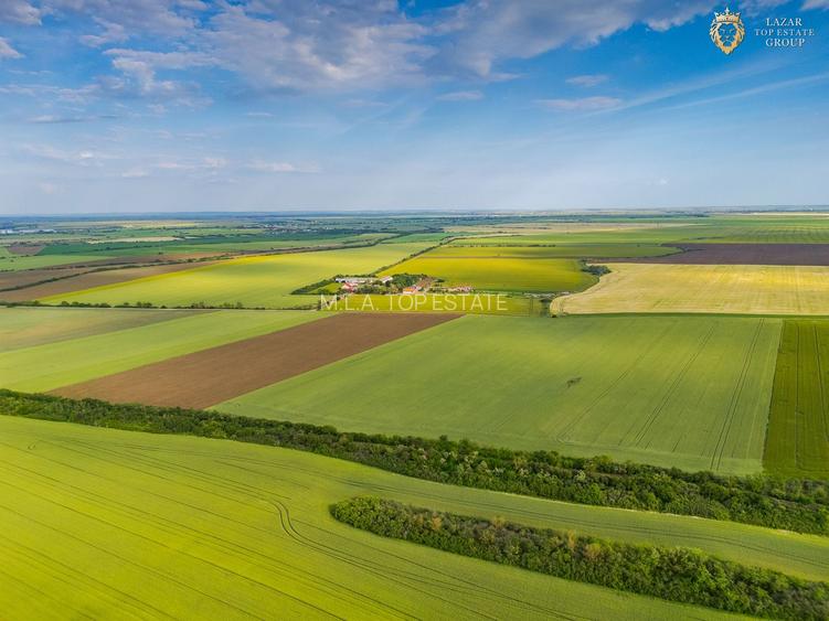 Teren Extravilan Arad de vanzare - 23