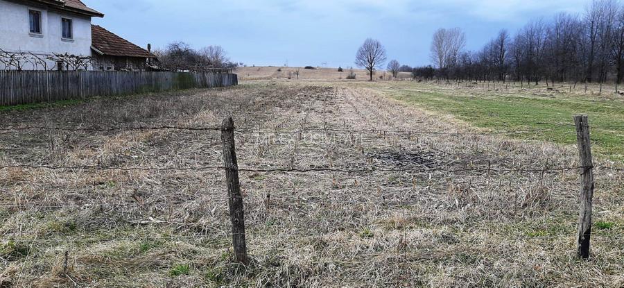 TEREN INTRAVILAN SI EXTRAVILAN POLOVRAGI - BENGEASCA - 8