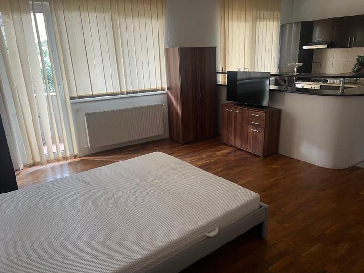Garsoniera centrala proprie 10 min M Tineretului DB2402