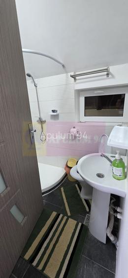Vila din padure in Valea Doftanei - 25