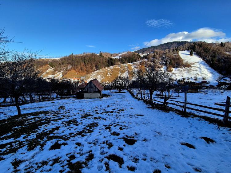 Teren intravilan Simon/Bran, 4318 mp , casuta intabulata, utilitati - 22