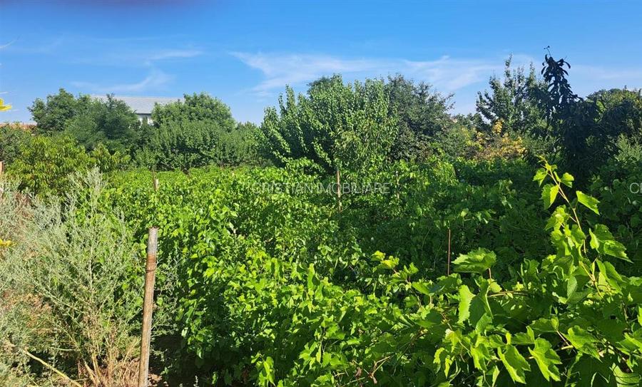 Casa 4 camere, teren 1286 mp, deschidere 18 m, Chiscani - 3