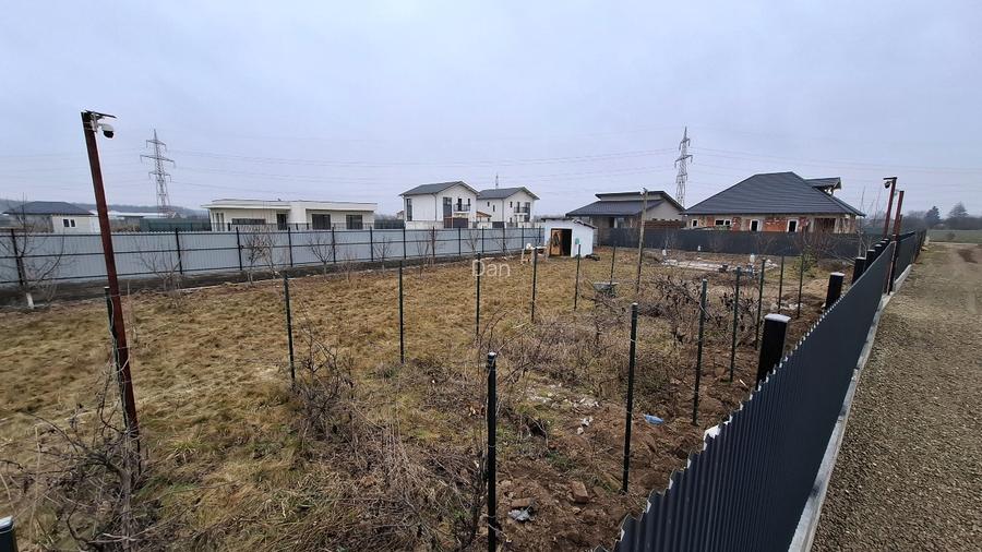 Teren 1000 mp, Dumbraveni, Balotesti - 4