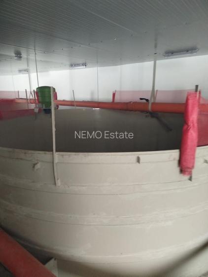 Pensiune + fermă piscicolă (sturion/caviar) | Saru Dornei/Sarisor - 7