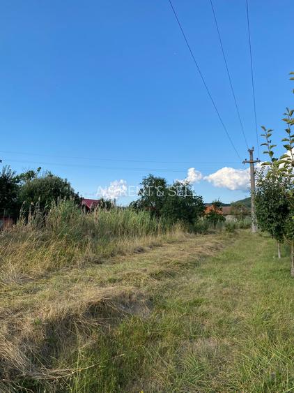 Teren intravilan în zona linistita - 3