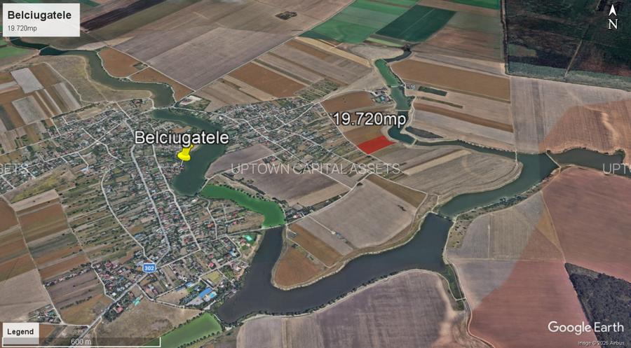 Teren rezidential | industrial 19.720mp Belciugatele Calarasi - 2