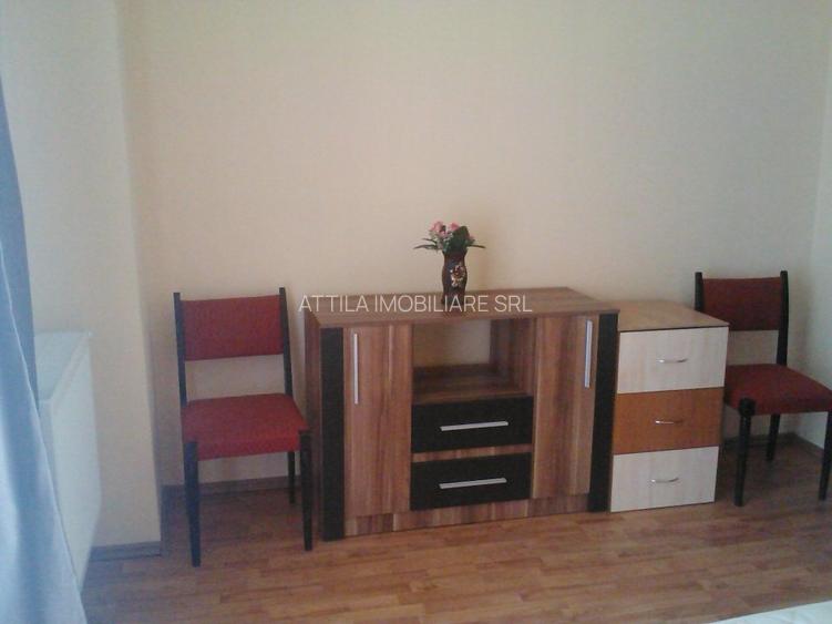 Lipovei- Pizzeria Thalia 2 cam 320 euro - 6