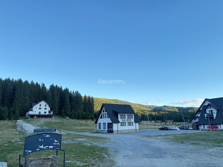 Oferta !!! Teren Padina - Pestera - 6