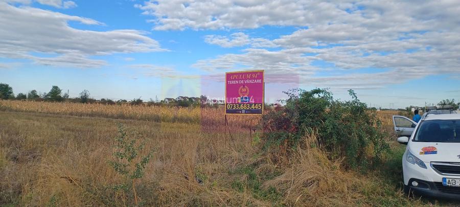 Gulia teren 11.157 mp, lângă Pădurea Cereanca - 3