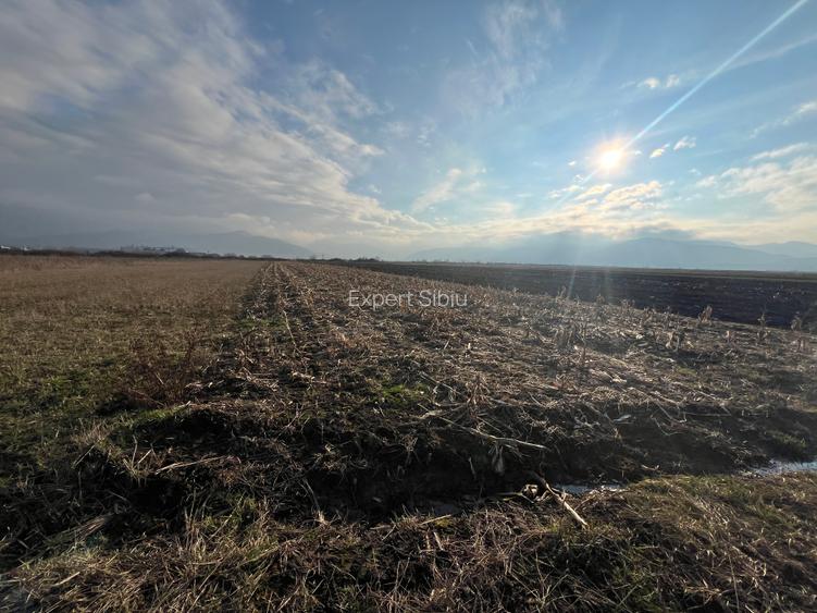 VÂNZARE TEREN EXTRAVILAN – COMUNA CRISTIAN, ZONA „LA SERE” - 5