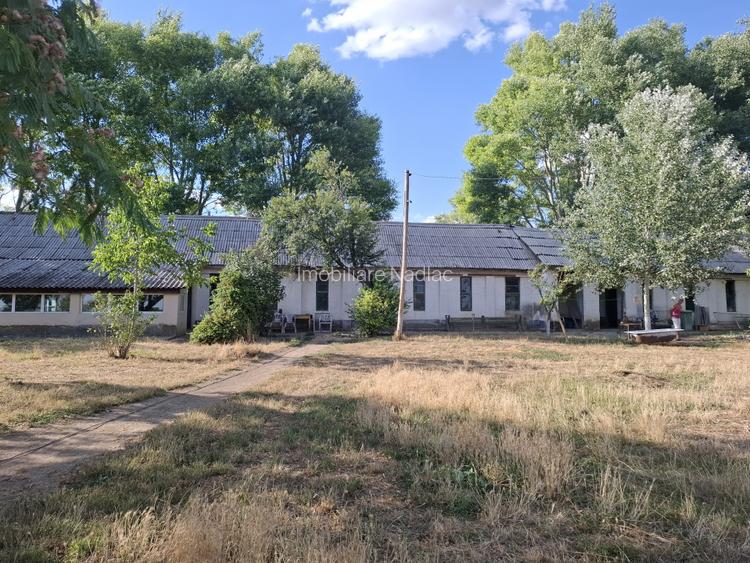 Ferma cu teren agricol de vanzare in Nadlac - 2