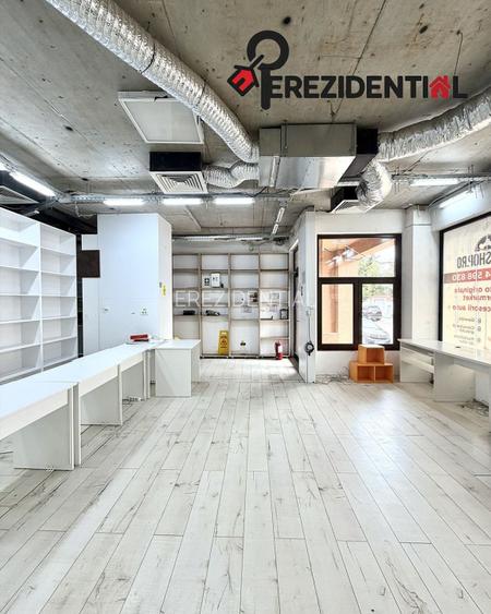 Spatiu Comercial Vasile Lascar - 3