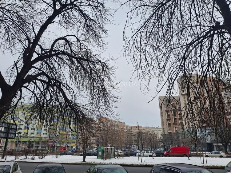 Spatiu comercial de vanzare 13 Septembrie/Panduri - 5