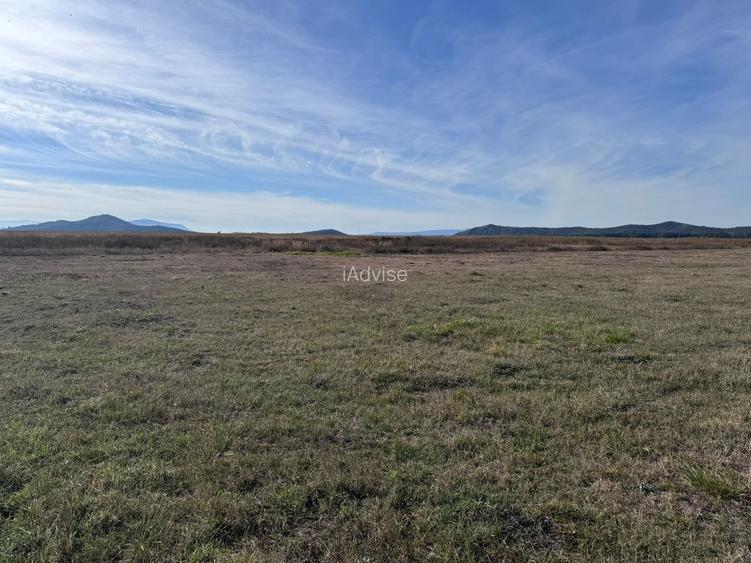 Teren de vanzare in Harman 4,4 Hectare - 7