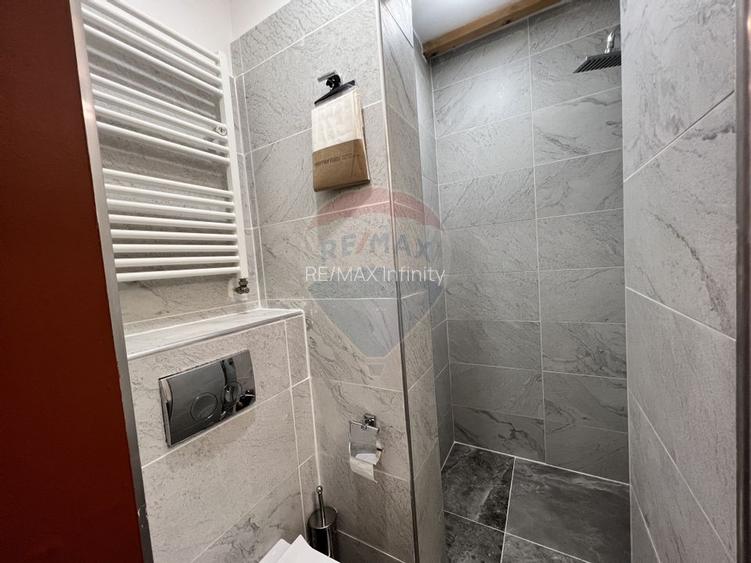 Penthouse cu 5 camere si terasa cu view de inchiriat in Grigorescu - 29