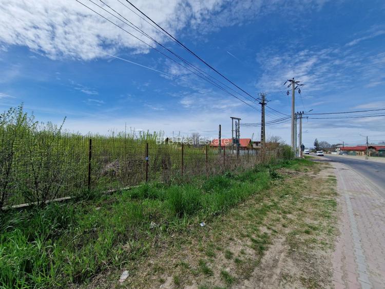 2 Loturi Teren Intravilan 1500 MP Tartasesti Deschidere 30 M / 36 M Utilitati - 7