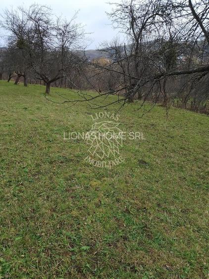 Teren 3966 mp-2 deschideri-curent-investitie-Budacu de Sus - 4