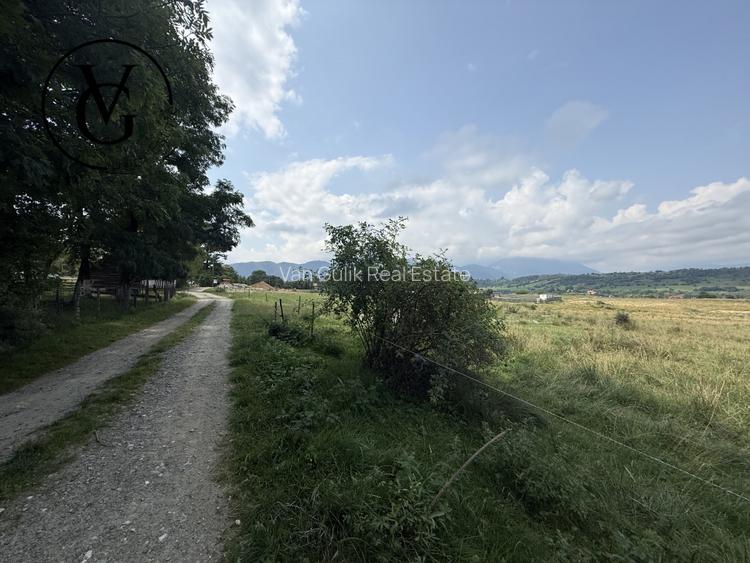 Teren intravilan 500 mp - Tohanul Nou - 6