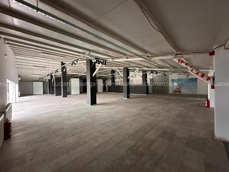 Hala, showroom sos. Pacurari Iasi, zona Mall Moldova, 1310mp - 19