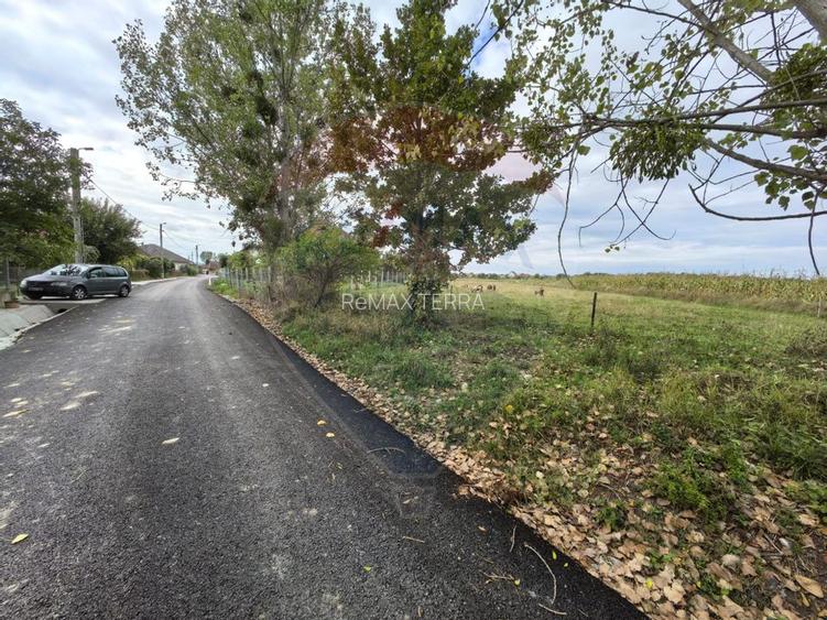 Teren 3,685mp Somcuta Mare / Strada Mocirii - 5