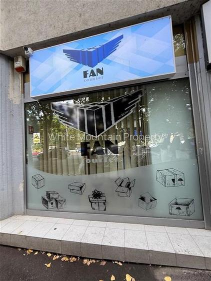 Ion Mihalache, spatiu comercial 240 mp - 3
