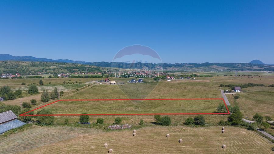 Teren Bran -Sohodol, Strada La mesteceni, 6900mp - 3