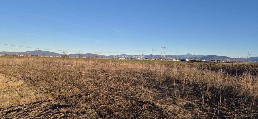 Teren constructii Livada Sanpetru zona Macesului - 2