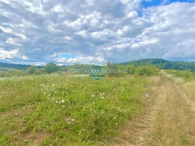 Vand teren intravilan cu suprafata 3300 mp in Livezeni - 3