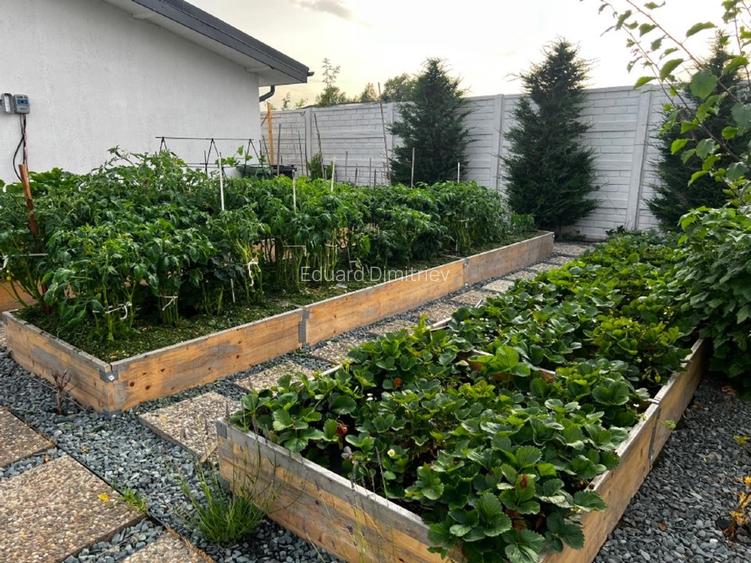 Teren cu anexa si  livada, toate utilitățile  - 13