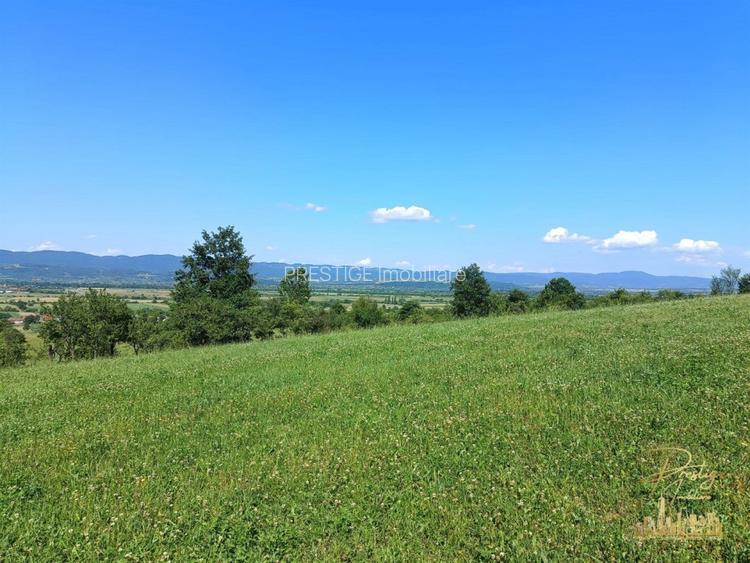 Teren extravilan 9093 mp de vanzare in Josani, com. Magesti - Bihor - 4
