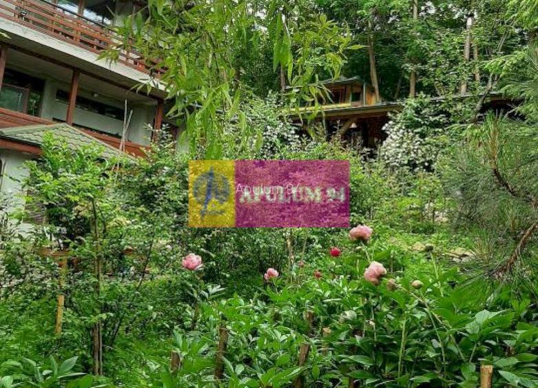 Casă de vânzare în Provița de Jos - 51