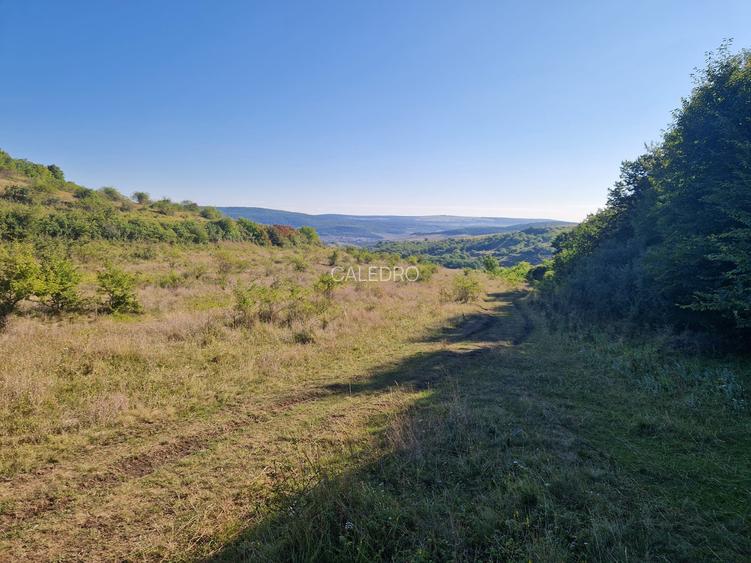 Teren 5800 mp extravilan in Suceagu ideal investitie - 3