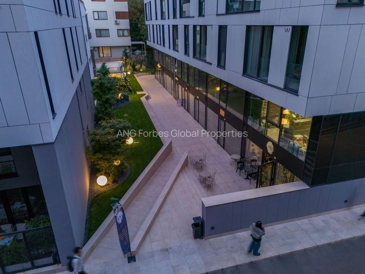 Investitie Ideala Airbnb 2 Camere Herastrau - 37