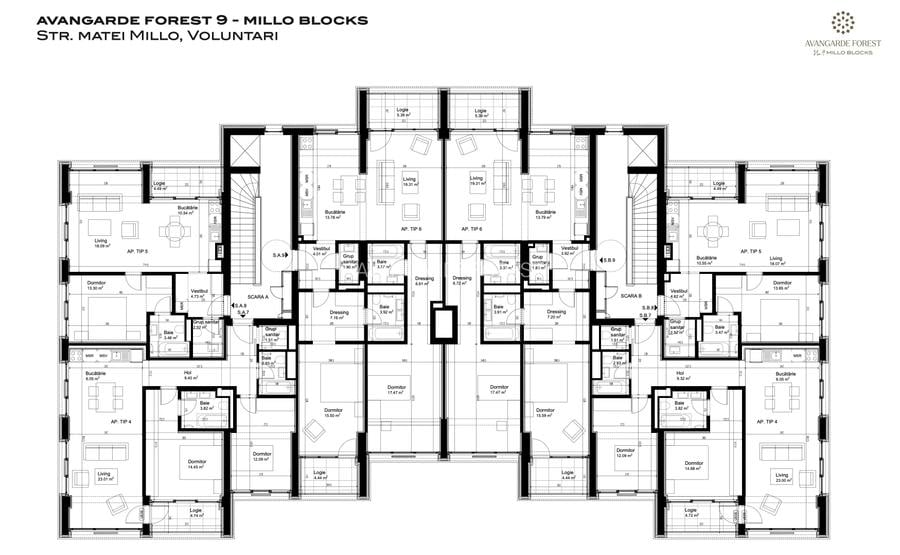 AVANGARDE Forest 9 - MILLO BLOCKS - 3