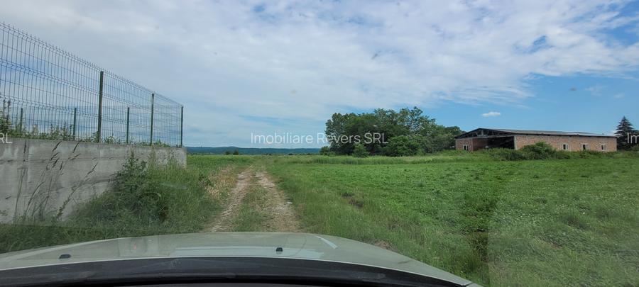 HALA 400 MP - ZIDARIE  IN CONSTRUCTIE-CU TEREN 6100 MP, DUBLU ACCES TIR BABENI - 23