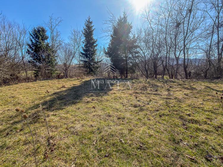 Teren intravilan, la 5 minute de cartierul Valea Aurie, 2388 mp - 2