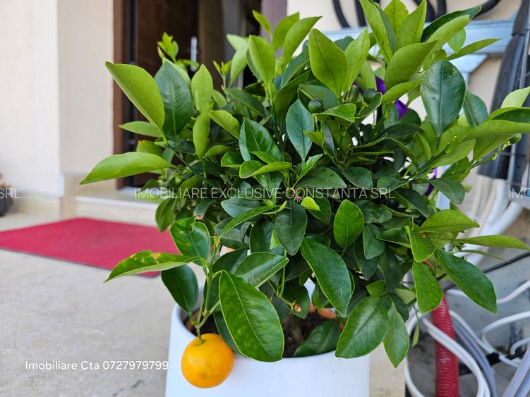 Lux !!! Ap 3 Camere Premium In Bloc Privat Contracrt Parcare - 22