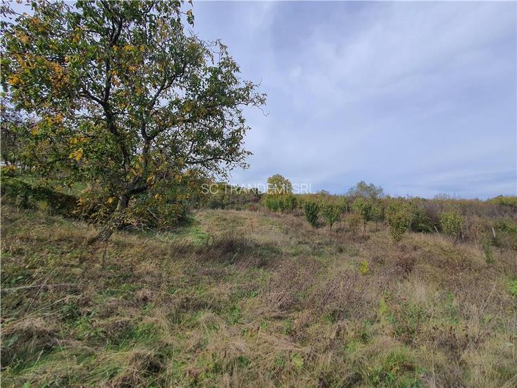 Casă Tradițională Săsească ?n loc.Aciliu cu 2974mp tere - 23