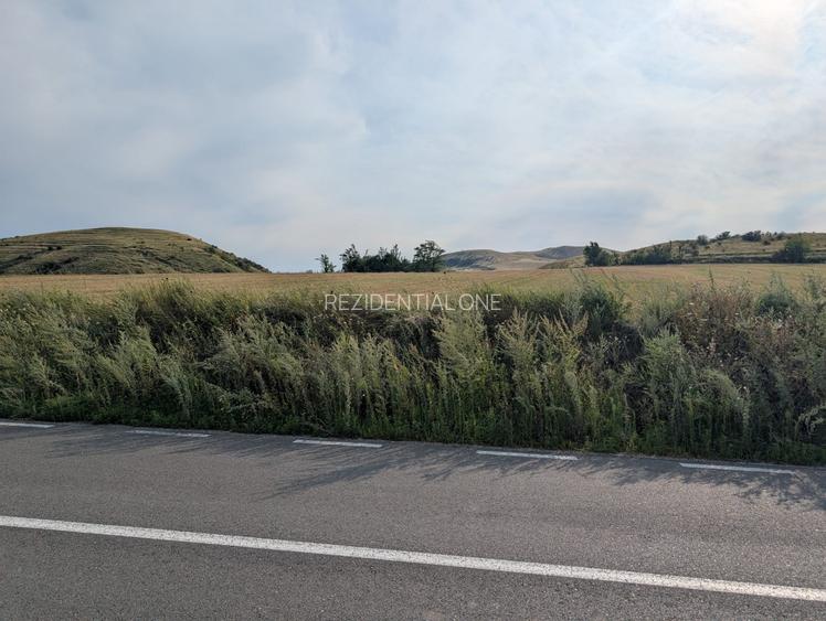 Sărata- lângă Mun. Bacău- 4000 mp- oportunitate investiție - 10