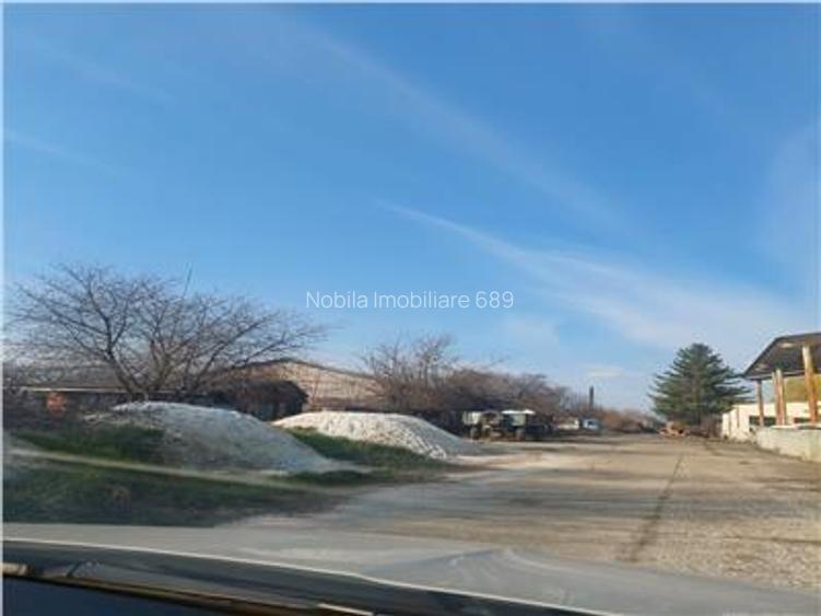 Onești | Teren 33 ha cu utilități • Se vinde integral sau în - 5