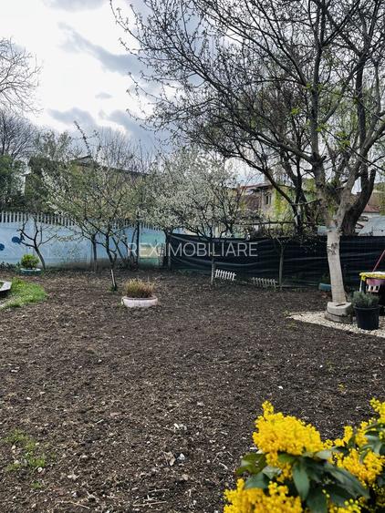 Casa 4 camere  complet renovata - Timisoara - 10