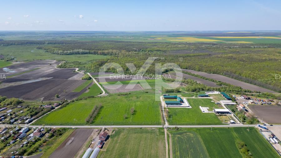 Black Angus Farm with authorized Slaughterhouse - 2