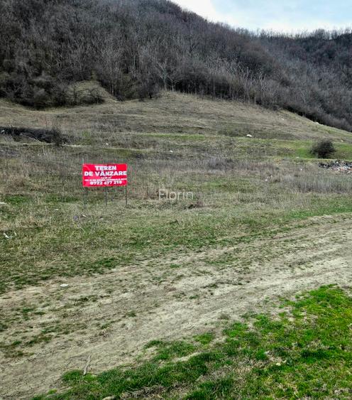 Proprietar Teren 1250 m2, Comuna Vernesti , Sat Candesti , jud Buzau - 2