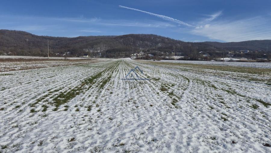 Teren intravilan 5.699 mp – Băiculești, jud. Argeș - 3