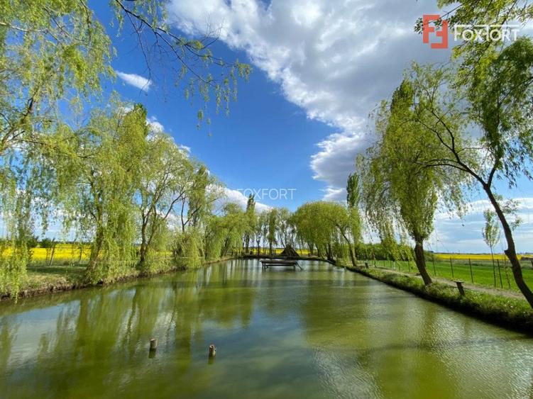 Vila Duplex cu lac si piscina Giarmata Vii  cu 5880 mp de teren - ID V5269 - 20