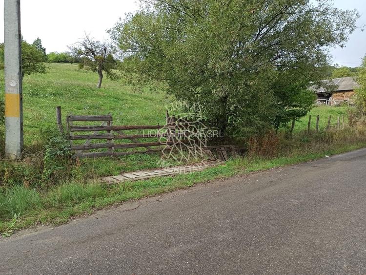 Teren intravilan 12600 mp-utilitati-ideal case, investitie-Livezile - 6