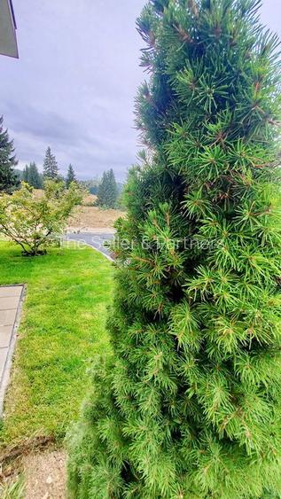 APARTAMENT DE VACANTA  - POIANA BRASOV - 28