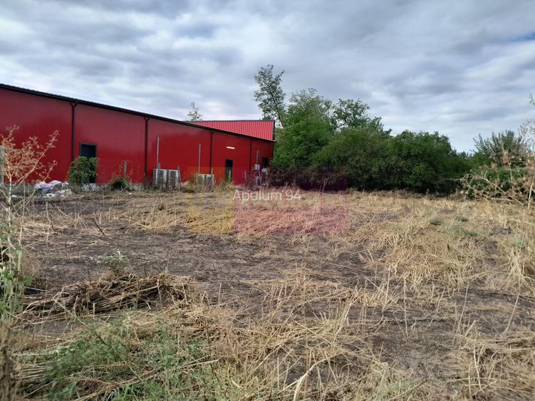 Movilita (IL)-teren de inch. 1800 mp stradal, 30 ml desch, langa Profi - 17