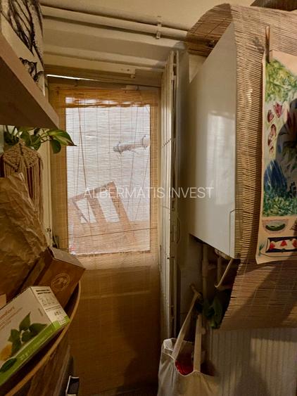 Vanzare apartament cu 3 camere Cismigiu - 10